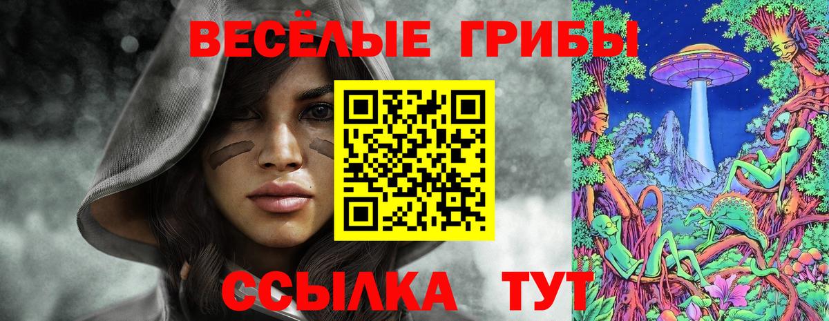 Новодвинск  Галлюциногенные грибы ЛСД  Псилоцибиновые грибы ЛСД  Вход с VPN 